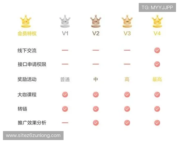 凯时会员权益详解：会员等级提升的具体流程与实用攻略